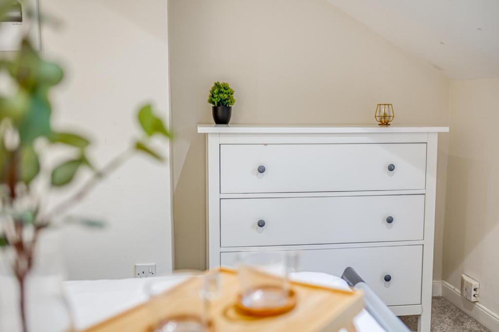 Charming City Home, Beside The Serene Ormeau Park ベルファスト エクステリア 写真